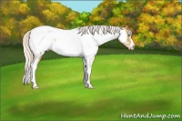Horse Color:Silver Classic Cream Champagne Roan Splash Tobiano Frame Near Fewspot Rabicano 