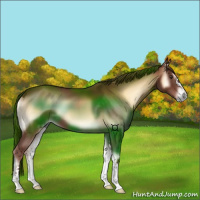 Horse Color:Red Onyx 