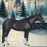 Horse Color:Black Tobiano