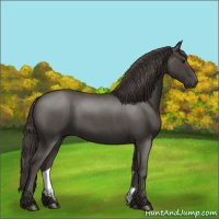 Horse Color:Smoky Blue Roan 