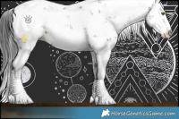 Horse Color:Bay Sabino Rabicano 