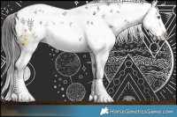 Horse Color:White Spotted Bay Sabino Splash 