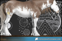 Horse Color:White Spotted Liver Red Dun Splash Rabicano 