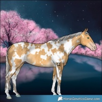 Horse Color:White Spotted Silver Amber Cream Champagne 
