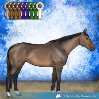 Horse Color:Brown Dun