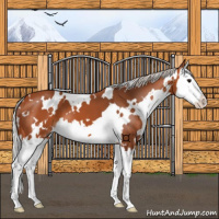 Horse Color:White Spotted Silver Bay Splash 