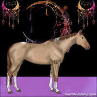 Horse Color:Red Dun Tobiano 