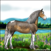 Horse Color:Silver Smoky Black Splash Tobiano 