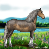 Horse Color:Silver Smoky Black Tobiano 