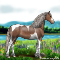 Horse Color:Silver Black Tobiano 
