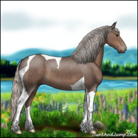Horse Color:Silver Black Tobiano 