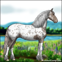 Horse Color:Silver Black Tobiano Appaloosa 