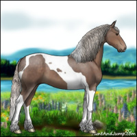 Horse Color:Silver Black Tobiano 