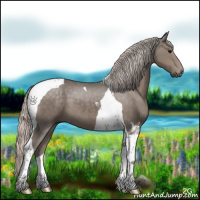 Horse Color:Silver Black Tobiano 