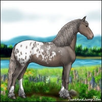 Horse Color:Silver Black Tobiano Appaloosa 