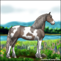 Horse Color:Silver Black Tobiano Frame 