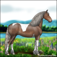 Horse Color:Silver Black Tobiano 