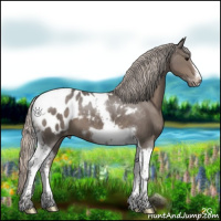 Horse Color:Silver Black Tobiano Frame Appaloosa 