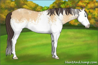 Horse Color:White Spotted Sable Cream Champagne Dun Splash 