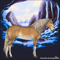 Horse Color:White Spotted Chocolate Palomino Dun Mushroom Brindle 