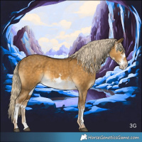 Horse Color:White Spotted Chocolate Palomino Dun Mushroom Brindle 