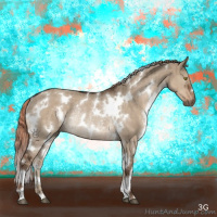 Horse Color:White Spotted Liver Red Dun Rabicano Brindle 