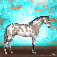 Horse Color:Bay Roan Dun Mushroom Splash Tobiano 