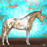 Horse Color:White Spotted Chocolate Palomino Dun Tobiano Appaloosa 