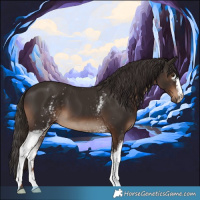 Horse Color:White Spotted Liver Chestnut 
