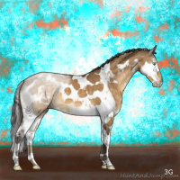 Horse Color:Buckskin Dun Splash Tobiano 