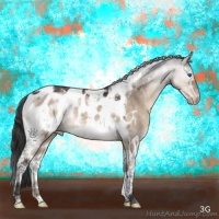 Horse Color:Brown Dun Mushroom Splash Tobiano Frame Near Leopard