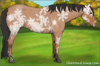 Horse Color:Bay Ice Roan 