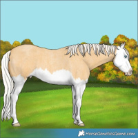 Horse Color:Silver Sable Cream Champagne Roan Splash 