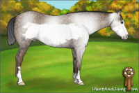Horse Color:Gray Classic Champagne Frame