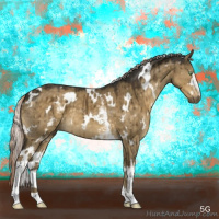 Horse Color:White Spotted Chocolate Palomino Dun Brindle 
