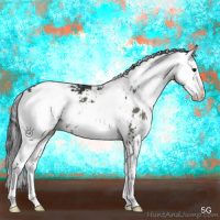 Horse Color:Grullo Sabino Brindle 