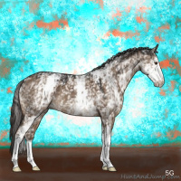 Horse Color:White Spotted Liver Red Dun Brindle 