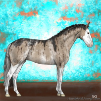 Horse Color:White Spotted Liver Red Dun Splash Brindle 