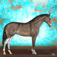 Horse Color:Liver Red Dun Sabino 