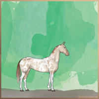 Horse Color:Brown Snowdrop Pearl Dun Tobiano Blanket Brindle 