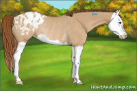 Horse Color:Red Dun Splash Appaloosa Rabicano 