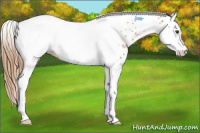 Horse Color:Chestnut Tobiano Frame Appaloosa Rabicano 