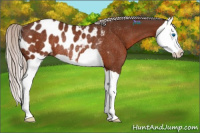 Horse Color:Silver Brown Splash Appaloosa Rabicano 