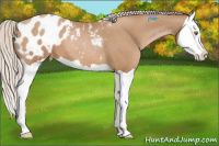 Horse Color:Silver Black Pearl Splash Appaloosa