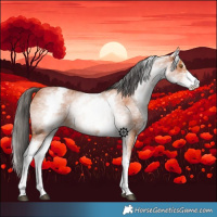 Horse Color:White Spotted Bay Sabino