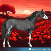 Horse Color:Blue Roan Sabino 