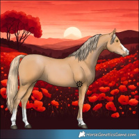 Horse Color:Chestnut Sabino