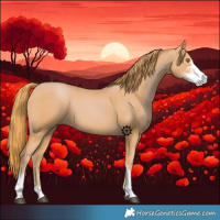 Horse Color:Chestnut Sabino 