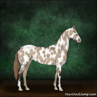 Horse Color:Liver Red Dun Near Leopard Brindle 