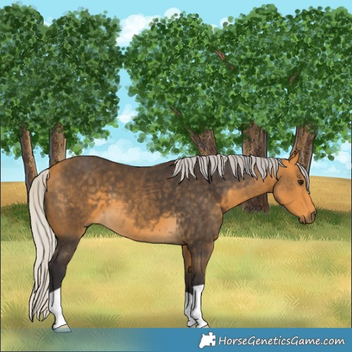 Horse Color:Silver Buckskin